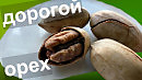 ПРОБУЕМ ДОРОГИЕ ОРЕХИ МАКАДАМИЯ ПЕКАН