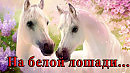 На белой лошади с блестящей длинной гривой... Автор музыки Сергей Грищук