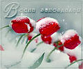 Запоздалая весна
