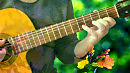 Canon (J.Pachelbel) classical guitar
