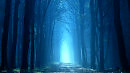 Into The Mystic