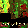 X-ray eye's