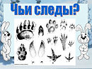 Песня для детей про следы в лесу