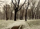 Зима   в    Ивано - Франковске