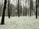 Зима   в    Ивано - Франковске