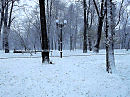 Зима   в   Ивано - Франковске