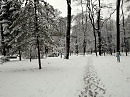 Зима   в   Ивано - Франковске