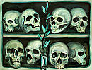 Vanitas
