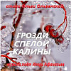 Грозди спелой калины