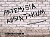 ПОЛЫНЬ - О снежинках