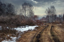 ПОСЛЕДНИЙ СНЕГ