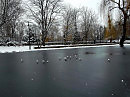 Зима   в    Ивано - Франковске