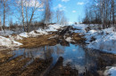 ВЕСНА