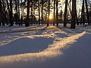 Снег лучи солнца