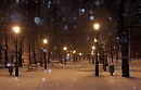 Медленно падал снег