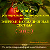 ЭНЕРГО-ИНФОРМАЦИОННАЯ СИСТЕМА
