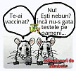 Шел 4-й год добровольной вакцинации в Северляндии