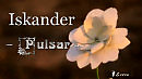 Iskander – Pulsar .....