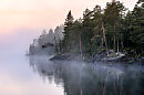 Постояльцем словесных дум