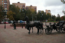 Осенний парк