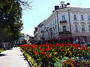 В   Тернополе