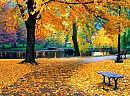 🍂   И ДОЖДЯ ГЛУХИЕ ВСХЛИПЫ...
