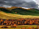 🍂   НИВЫ НЕ  СКОШЕНЫ...тема сельская
