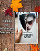 У Полоні Болю (книжка)