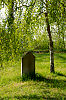 Кунак