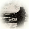 Зимнее утро