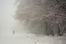 Былое