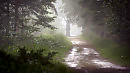 After The Rain