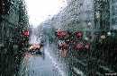 Cloudy, Mostly Rain....