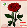 Нежно и Страстно