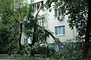 Ветерок...............