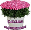 Самая любимая