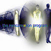 the reincarnation program