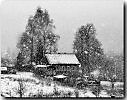 Белая осень