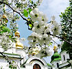 ВОЗРОЖДЕНИЕ