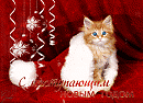 С НАСТУПАЮЩИМ НОВЫМ ГОДОМ! (Сергей Котов)