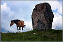 КВЕСТ