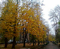 Осенью