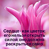 У каждого - свой срок