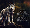 ВОТ ТАК И СРЕДИ НАС, ЛЮДИШЕК