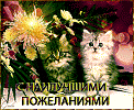 Лето золотое - текст песни-Владимира Гликова;муз. исп.Виктора Бекк