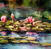 Nymphaea