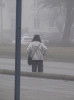7 ноября