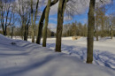 Прогулка в парке ранней весной