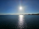 Морские виды