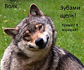 Волк и ягненок